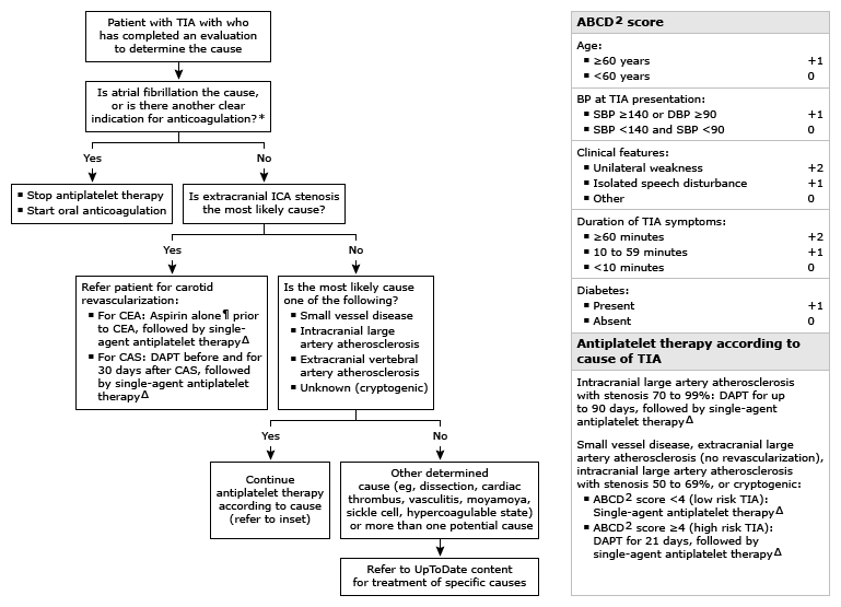 Antithrombotic therapy, TIA